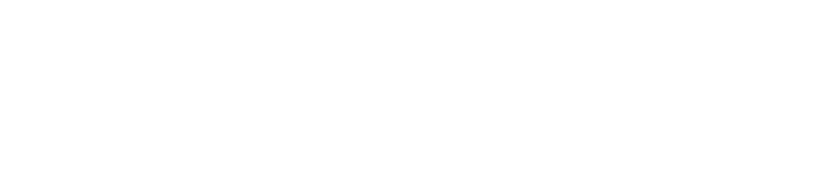 Elvis PA Veranstaltungstechnik